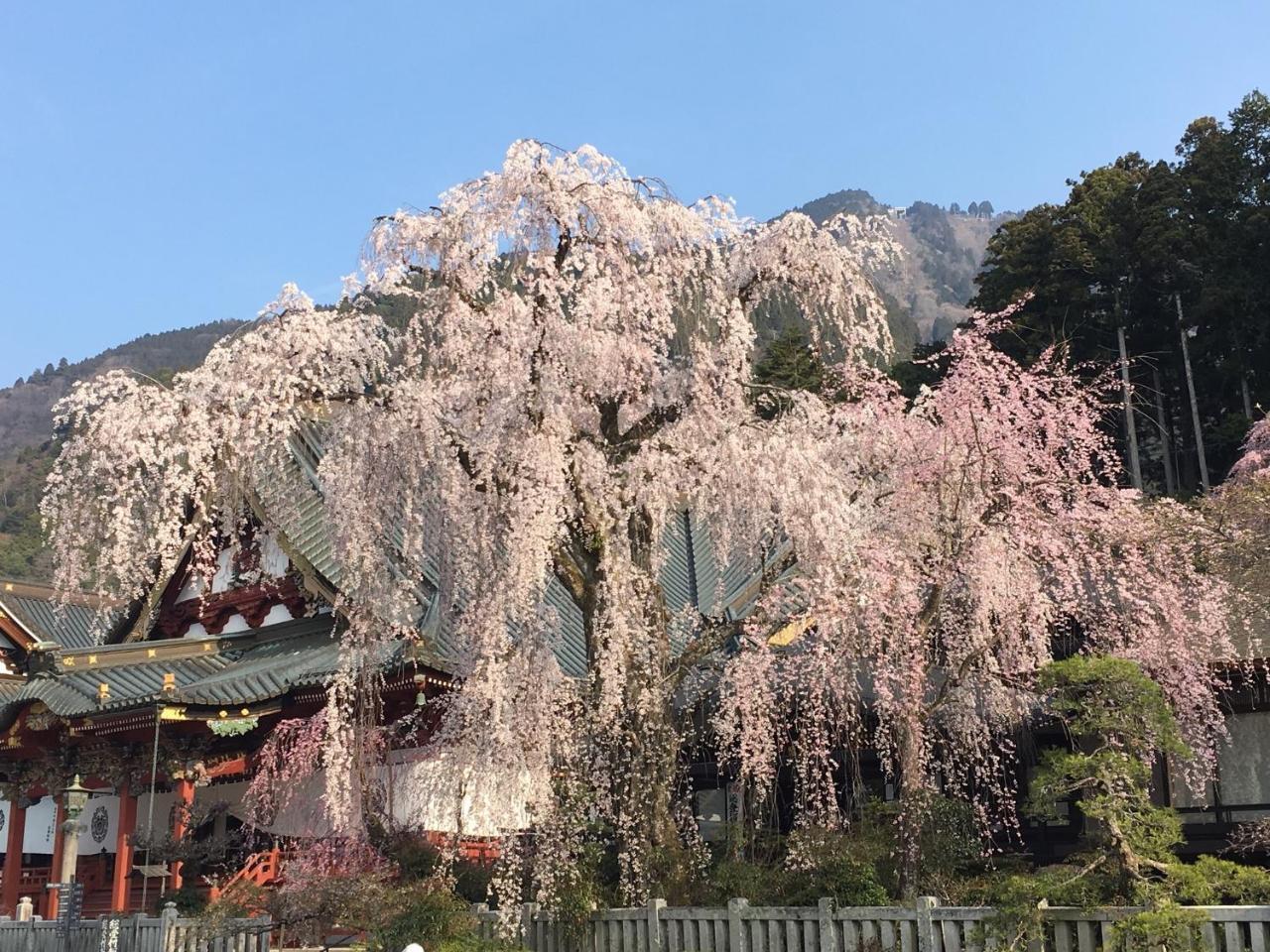 Ryokan Tanakaya Minobu Exterior foto